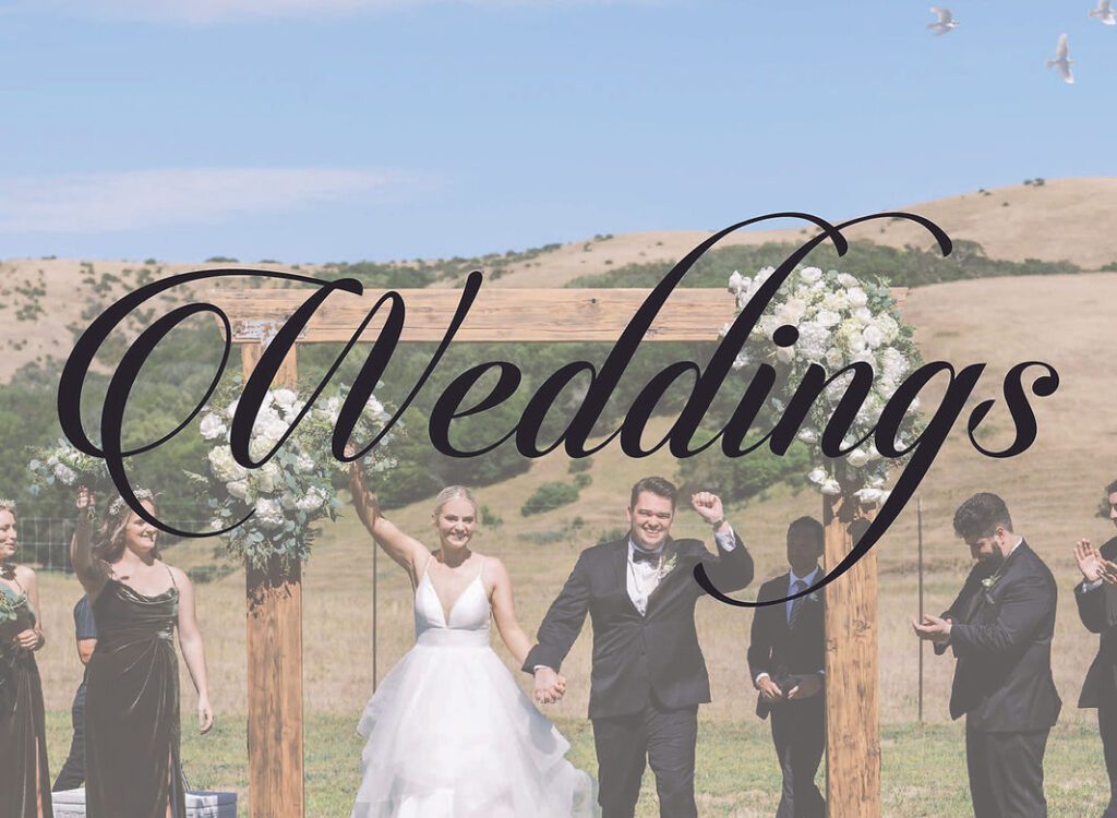 Live Wedding DJ in San francisco