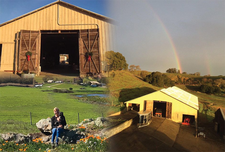 Affordable Wedding DJ in San Francisco